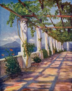 Pergola (renkli litho)