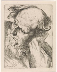 Yaşlı bir adamın başı (Joseph) Anthony van Dyck