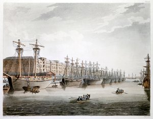 Batı Hindistan Rıhtımları, Londra, 1808-1810