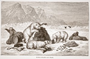 Kutup ayıları bagaj barımıza saldırıyor. Viyana 1876 (gravür) by Austrian School