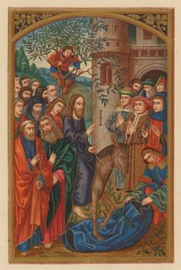 Hosanna, David