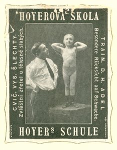 Hoyers Okulu by Austrian School