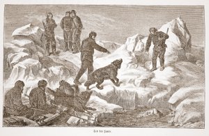 Köpeklerle avlanma, 1876 by Austrian School