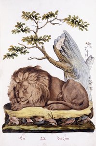aslan, 1794 by Austrian School