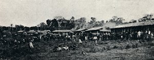 İtalyan Kolonisi Fazenda Arindiuba, 1895