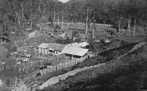 Yaratılış Çiftliği Campos do Jordao, Yaratılış Çiftliği, 1895