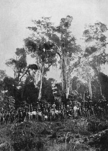 Bakire Matta, 1895