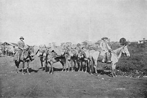 İçişleri Tüccarları, İçişleri Tüccarları, 1895 by Axel Frick