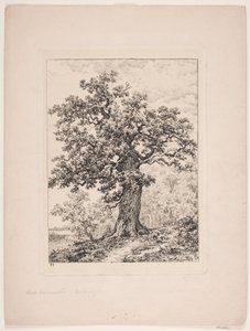 Niels Ebbesens örn. Gyllingnæs ormanı by Axel Schovelin