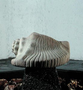 Deniz Salyangozu Kabuğu, c.1500 (ayrıca bkz. 198376 ve 207560) by Aztec