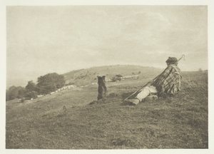 pastoral by B. Gay Wilkinson