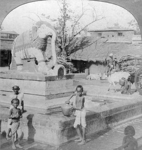 Bir fil çeşmesi, Madura, Hindistan, 1901.