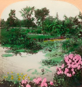 Lily Pond, Tower Grove Park, St. Louis, Mo., ABD, 1897.
