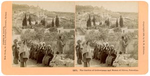 Getsemani bahçesi ve Zeytin Dağı, Filistin, 1898.
