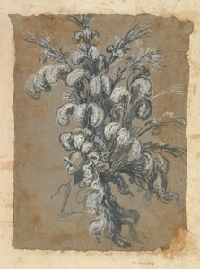 Kask Üzerinde Tüylü Gösterişli Bir Başlık için Tasarım, yakl. 1620-56.
