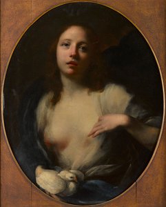 Beyaz güvercinli genç bir kız resmi (tuval üzerine yağlı boya) by Baldassare (1611 89) Franceschini