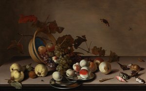 Hasır sepet, midye ve kelebek ile meyve natürmort, 17. yüzyılın ilk yarısı. by Balthasar van der Ast