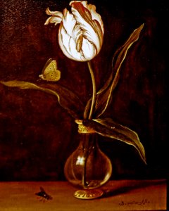  by Balthasar van der Ast