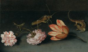 Karanfiller, bir papağan lale, bir çekirge ve bir çıkıntıda bir kertenkele by Balthasar van der Ast