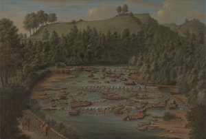 Aysgarth Şelaleleri, Yorkshire
