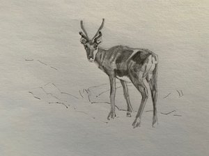 Ren geyiği, 2019 by Barbara Hoogeweegen