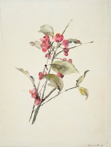 Pembe Çiçekler (kağıt üzerine sulu boya) by Barbara Leigh Smith Bodichon