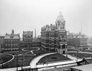 Cook County Hastanesi, c.1900, Chicago, Illinois, ABD, c.1900 (s/b fotoğraf)
