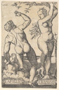 Apollo ve Daphne ters kopya.n.d.