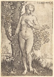 Kleopatra by Barthel Beham