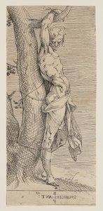  by Bartholomaeus Spranger