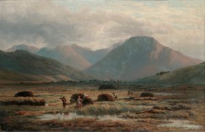 Turba Bataklığı, Letterfrack, Connemara by Bartholomew Colles Watkins
