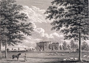 Brockwell Salonu, Herne Tepesi, Lambeth, Londra, 1820 by Bartholomew Howlett