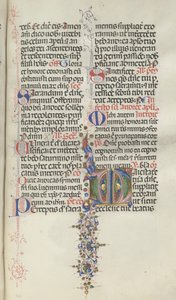 Yanlış satış: Fol. 260: Meyveli Yapraklar, 1469. by Bartolomeo Caporali