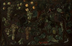 Üzüm Asmaları ve Meyveleri, Üç Kuyruklu Kuyruklu, ca. 1615-18.