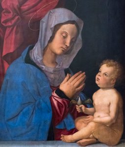 Madonna ve çocuğu, 1503 dolayları (ahşap panel üzerine yağlıboya) by Bartolomeo Montagna