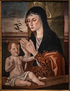 Bebek İsa ile Madonna by Bartolomeo Montagna