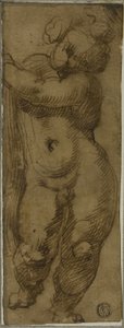 Önden Görülen Ayakta Putto: Aziz Petronius, Dominic ve Peter Martyr ile Görkemli Bakire için Çalışma by Bartolomeo Passarotti