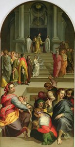 Meryem'in Tanıtımı by Bartolomeo Passarotti
