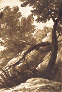 Ormanlık Peyzaj by Bartolomeo Torregiani