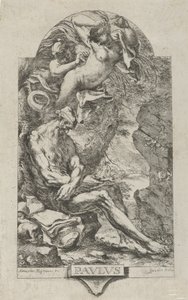 Magnasco