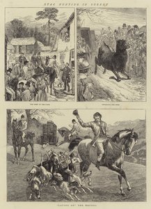 Surrey