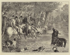Surrey