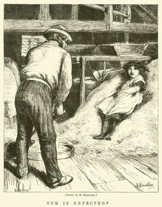 Tom bekleniyor by Basil Bradley