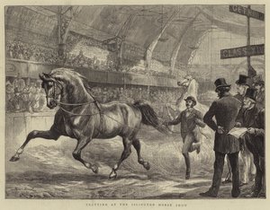ಇಸ್ಲಿಂಗ್ಟನ್ ಹಾರ್ಸ್ ಶೋ ಟರ್ಕ್‌ನಲ್ಲಿ ಟ್ರಾಟಿಂಗ್ by Basil Bradley