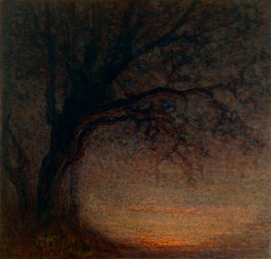 Ölü Ağaç by Battista Constantini