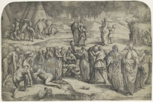 man toplama by Battista Franco