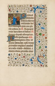  by Bedford Master