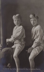 Duc De Brabant, Le Comte De Flandre, oyuncak filin üzerinde by Belgian Photographer