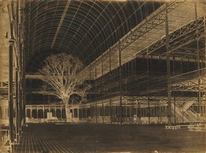 Kristal Saray, Hyde Park, Transept, 1852.