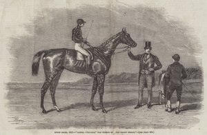 Epsom Yarışları, 1852, Daniel O